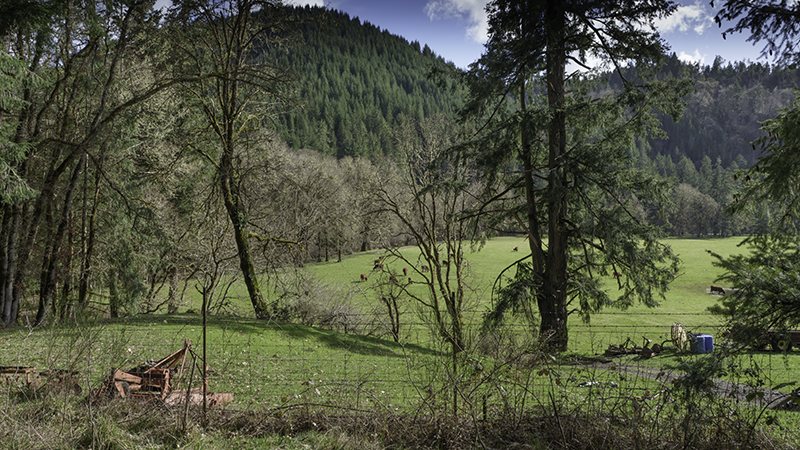 pasture in Western Oregon